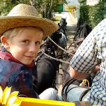 In carrozza nell'Anfiteatro Morenico del Canavese